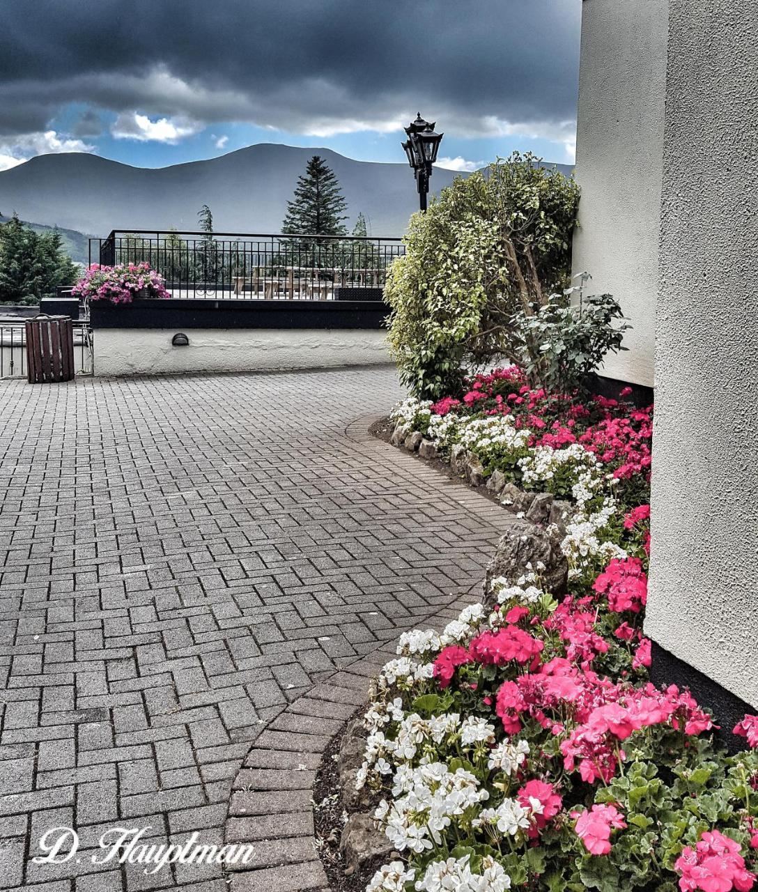 Aherlow House Hotel & Lodges Екстериор снимка